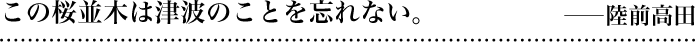 この桜並木は津波のことを忘れない。