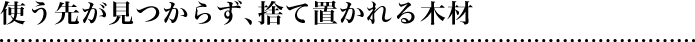 使う先が見つからず、捨て置かれる木材