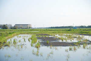 宮城・荒浜