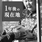一年後の現在地-宮城-
